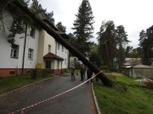 Miniatura zdjęcia: Gmina Międzyrzecz po przejściu orkanu Ksawery