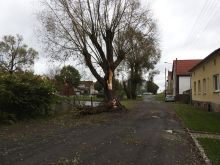 Miniatura zdjęcia: Gmina Międzyrzecz po przejściu orkanu Ksawery