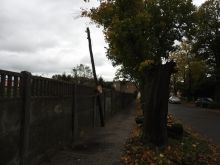 Miniatura zdjęcia: Gmina Międzyrzecz po przejściu orkanu Ksawery