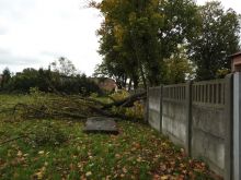 Miniatura zdjęcia: Gmina Międzyrzecz po przejściu orkanu Ksawery