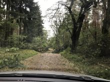 Miniatura zdjęcia: Fotka 32