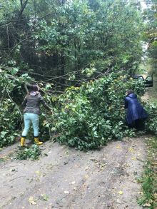 Miniatura zdjęcia: Fotka 34