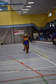 Miniatura zdjęcia: Fotka 12