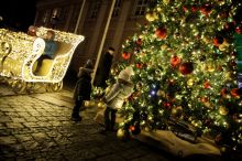 Miniatura zdjęcia: Fotka 58