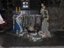 Miniatura zdjęcia: Fotka 37