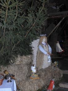 Miniatura zdjęcia: Fotka 38