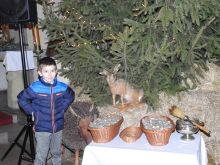 Miniatura zdjęcia: Fotka 39