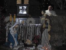 Miniatura zdjęcia: Fotka 41