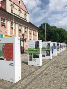 Miniatura zdjęcia: Wystawa przed międzyrzeckim ratuszem