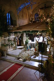 Miniatura zdjęcia: Fotka 45