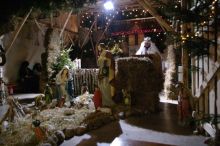 Miniatura zdjęcia: Fotka 46