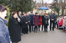 Miniatura zdjęcia: Fotka 1