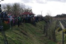 Miniatura zdjęcia: Fotka 13