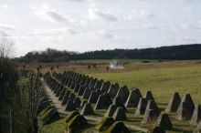 Miniatura zdjęcia: Fotka 14