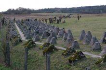 Miniatura zdjęcia: Fotka 21