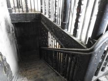 Miniatura zdjęcia: Fotka 5