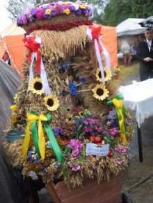 Miniatura zdjęcia: Fotka 36