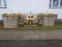 Miniatura zdjęcia: Fotka 37