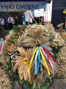 Miniatura zdjęcia: Fotka 45