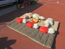 Miniatura zdjęcia: Fotka 42