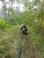 Miniatura zdjęcia: Akcja oczyszczania Grupy Warownej Schill 4